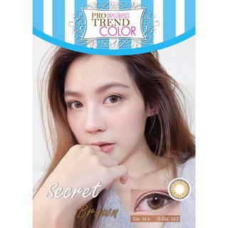 Protrend Color คอนแทคเลนส์ รุ่น Secret Brown