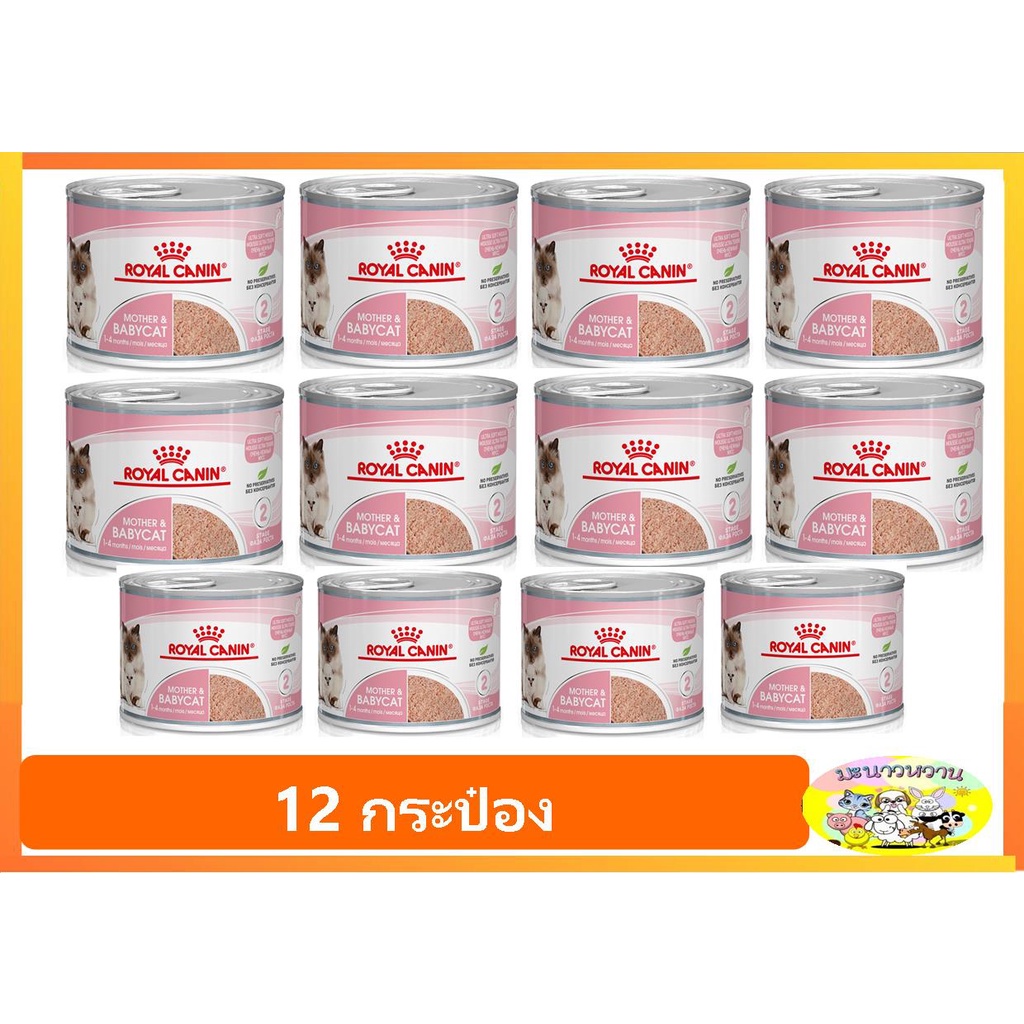 Royal Canin ฺBabycat & Mother แมว ชนิดกระป๋อง (12 กป)
