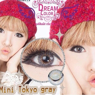 คอนเเทคเลนส์  สี Mini Tokyo gray