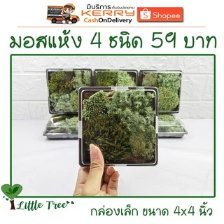 มอสแห้งกล่องเล็ก บรรจุ 4 ชนิด ขนาดและปริมาณของสินค้าตามที่ระบุไว้ อ่านก่อนสั่งซื้อ