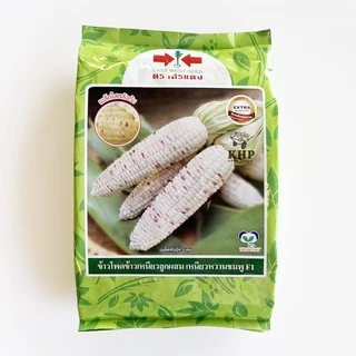 ใหม่ล่าสุด!! เมล็ดพันธุ์ข้าวโพด ข้าวเหนียว หวานชมพู F1 ตรา ศรแดง คัดพิเศษ หวานนุ่มหนึบ 5000 เมล็ด *มีแบ่งขาย*