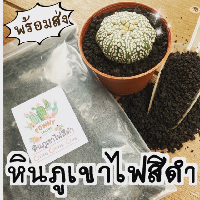 หินภูเขาไฟสีดำ  BLACK LAVA  พร้อมส่ง ผสมดินปลูกหรือโรยหน้าก็ได้จ้า