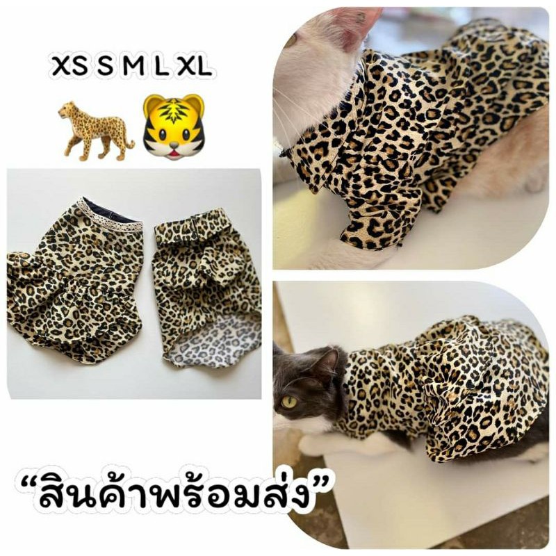 ชุดน้องหมาน้องแมว แนวสารพัดสัตว์
