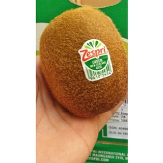 TOP-1กีวี่เขียว Green KIWI (21ลูก) (FRANCE/NewZealand) ~ลดพิเศษ~ Premium กีวีเขียว นิวซีแลนด์ กีวี่สด ผลไม้กีวี่ ผลไม้สด