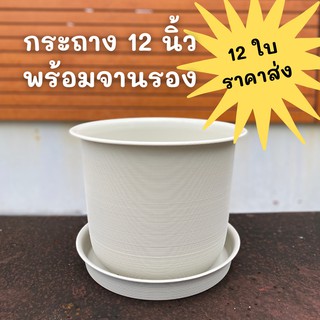 กระถางต้นไม้  12  นิ้ว ราคาส่ง กระถางญาญ่า กระถางสีขาว สีดำ สีอิฐ สีเทา ทรงกลม พร้อมจานรอง ขายส่ง