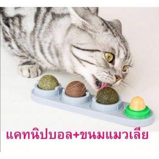 แคทนิปบอล+ขนมแมวเลีย​ พร้อมแผ่นแปะผนัง