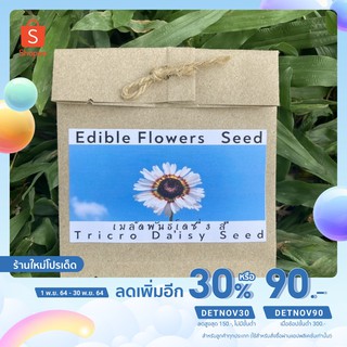 💥ลดปังๆ ใส่โค้ด MON932PS ลดเหลือ 0.-💥เมล็ดพันธ์ุดอกเดซี่สามสี ดอกไม้กินได้ Tricro Daisy seed edible flowers