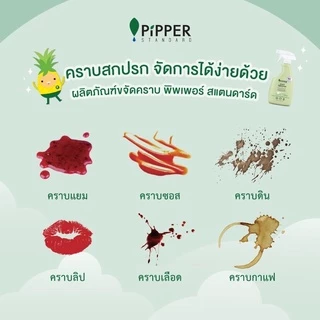 Pipper Standard ผลิตภัณฑ์ขจัดคราบก่อนซัก ขจัดคราบธรรมชาติ organic กลิ่นเลมอนกราส ขนาด 400 มล.