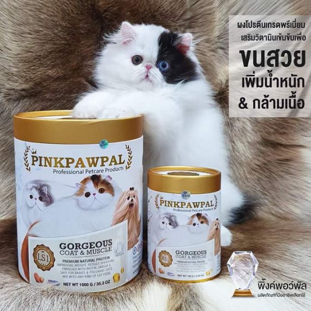 วิตามินแมวอ้วน ผงโปรตีนเพิ่มน้ำหนักและบำรุงขนแมว Pinkpawpal | Shopee  Thailand