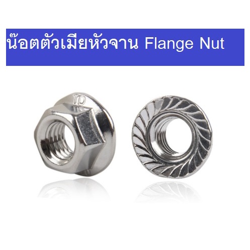 น๊อตตัวเมีย หัวจาน น๊อตหัวจาน น็อตหน้าแปลน น็อตหน้าจาน ฝาเกลียวกันลื่น Flange Nut.