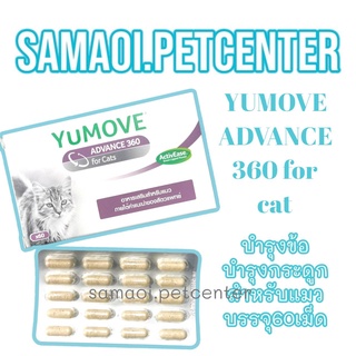 YUMOVE ADVANCE 360 60เม็ด for Cats ActivEase Green Lipped Mussel อาหารเสริมสำหรับแมว บำรุงข้อต่อแมว