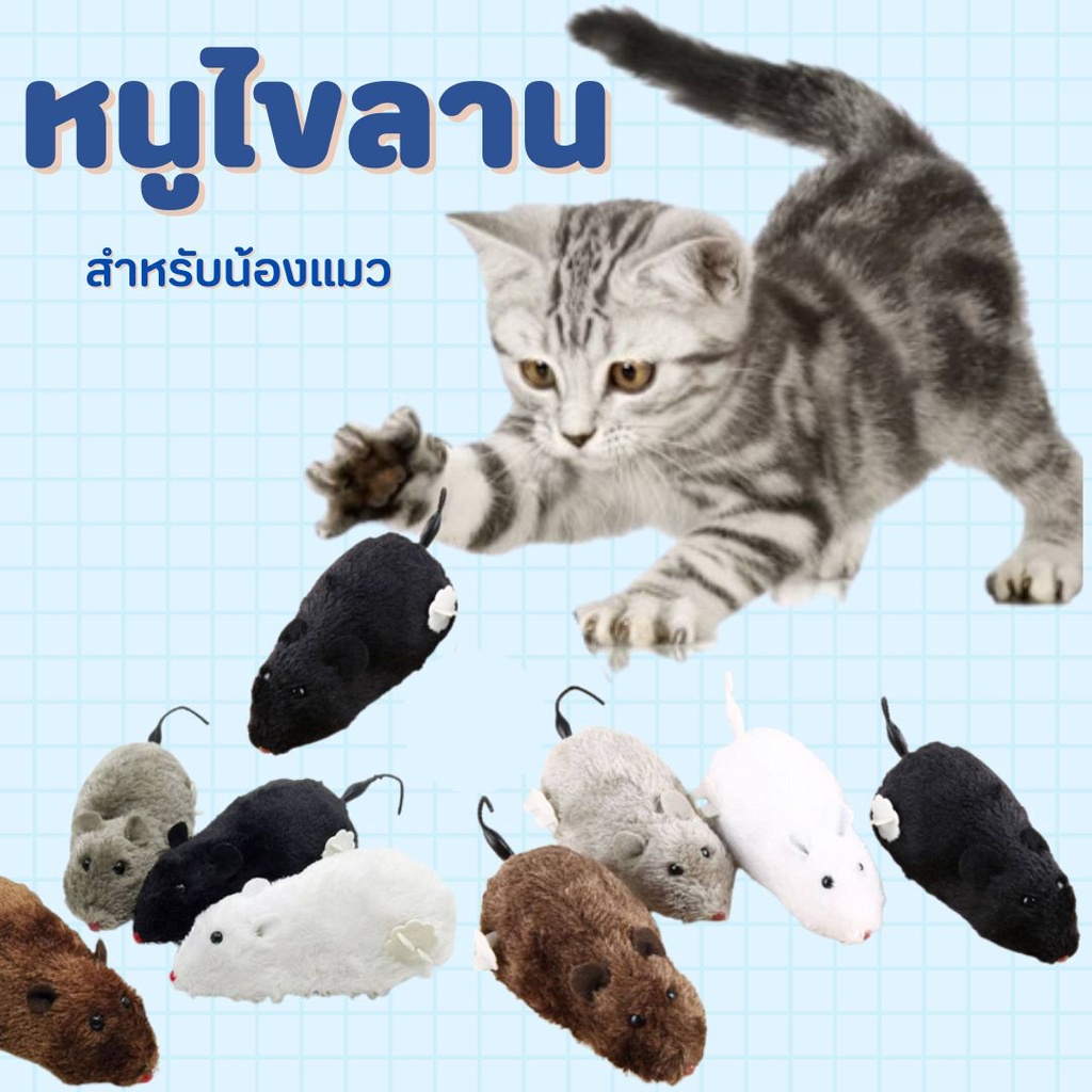 ของเล่นแมว หนูไขลาน หลากสี ของเล่นสัตว์เลี้ยง ของเล่นไขลาน #E-0055