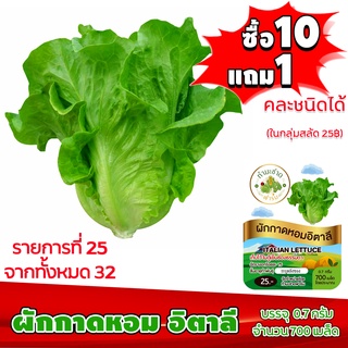 (ซื้อ10แถม1 ฟรีคู่มือ) เมล็ดพันธุ์ ผักกาดหอม อิตาลี ITALIAN LETTUCE (0.7 กรัม 700 เมล็ด) ทำมะชาดฟาร์ม  ผักสลัด