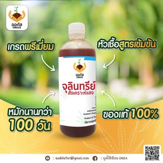 จุลินทรีย์สังเคราะห์แสง แท้100% AGUS สูตรเข้มข้น ใช้เป็นหัวเชื้อได้ พร้อมใช้งาน ปลอดสารเคมี น้ำหมัก เร่งราก เร่งโต 420