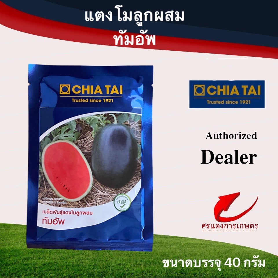 เมล็ดพันธุ์ แตงโมทัมอัพ ขนาด 40 กรัม ทรงกลมสูง ขนาดผล 3-5 กก. ผิวสีดำมีลาย เนื้อแน่น สีแดงหวานกรอบ