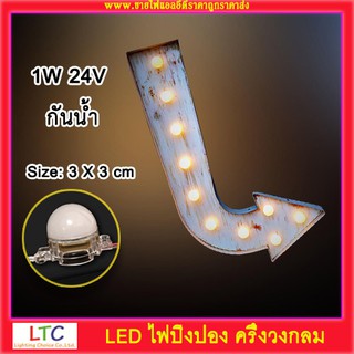 LED ไฟปิงปอง ครึ่งวงกลม 1W 24V 1พวง มี 30ชิ้น (ราคาเฉลี่ยตกชิ้นละ 15บ.) ✨ราคาคุ้มค่าแน่นอนค่ะ✨