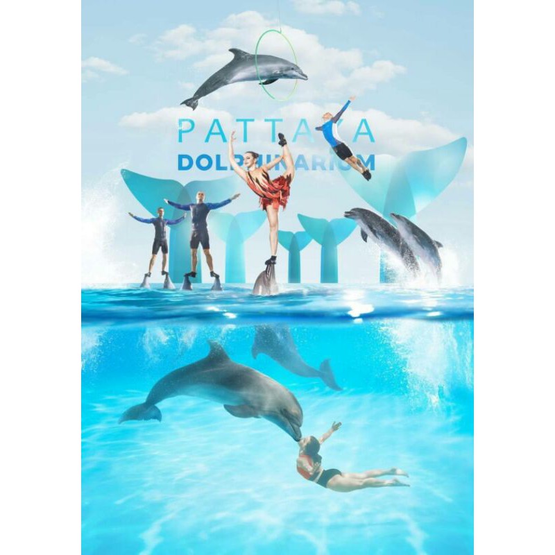 PATTAYA DOLPHINARIUM พัทยา ดอลฟินนาเรียม โลมาโชว์