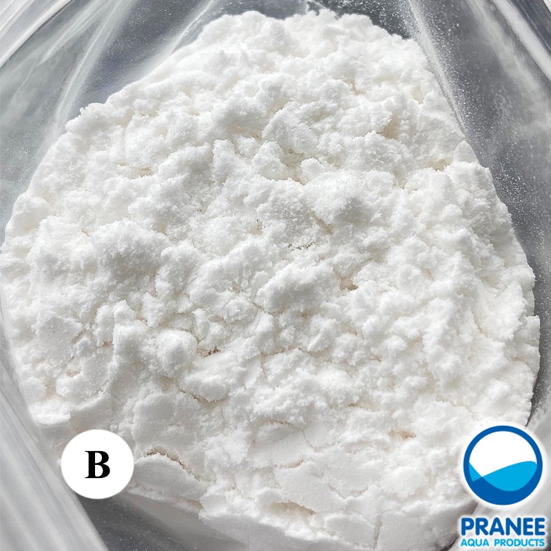 สารประกอบ A และ B เพื่อใช้ทำ Co2 Diy รูปที่ 4