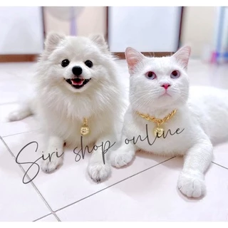 ปลอกคอแมว ปลอกคอสุนัข สร้อยคอหมา สร้อยคอแมว ซื้อ3แถม1 โซ่เลสทองอลุมิเนียม ปรับขนาดได้ ฟรีโซ่ปรับขนาดทุกเส้น