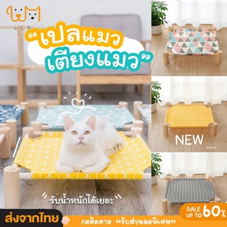 พร้อมส่ง🔥 ที่นอนแมว ครบชุด เตียงแมว ถอดง่ายใส่ง่าย พกพาสะดวก เคลื่อนย้ายง่าย ใช้พื้นที่ไม่เยอะ แข็งแรง รับน้ำหนักได้เยอะ