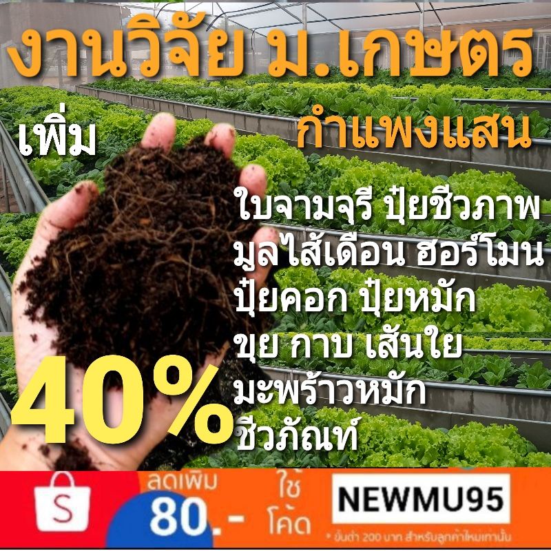 3โล(เพิ่มปุ๋ยหมัก)ดินปลูกออร์แกนิค งานวิจัย ม.เกษตรฯ กำแพงแสน สูตรใช้ผสมดินเดิมฟื้นฟูธรรมชาติ โรงผักสองตี๋ ออร์แกนิค100%