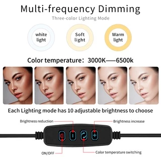【ขายส่ง】ไฟไลฟ์สด ไฟแต่งหน้า ไลฟ์สด 26-36CM ขาตั้ง ไฟ2เมตร ไฟสตูดิโอ