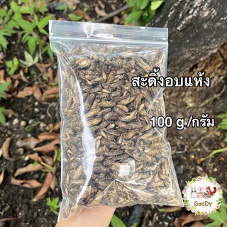 สะดิ้งอบแห้ง 100 กรัม/g. Dried House Crickets