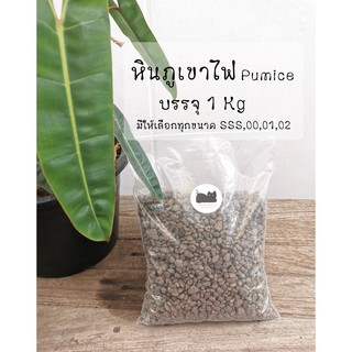 หินภูเขาไฟ พัมมิส Pumice บรรจุ 1 กิโลกรัม มีให้เลือกหลายขนาด เบอร์ 00 01 02 SSS