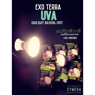 หลอด UVA Exo Terra - Day Light