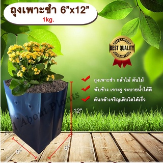 ถุงเพาะชำ 6”x12” 1 kg. ถุงเพาะชำสีดำ ถุงเพาะชำกล้าไม้ ต้นไม้ ถุงดำ allaboutplants