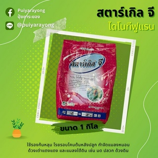 สตาร์เกิลจี โกลดานจี 1กิโล ไดโนทีฟูแรน ใช้รองก้นหลุม โรยรอบโคนต้นหลังปลูก กำจัดแมลงหนอน และแมลงใต้ดิน เช่น มด ปลวก