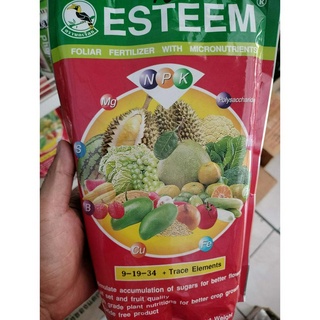 ปุ๋ยเกล็ด ESTEEM สูตร 9-19-34 + TE (ขนาด 1 กิโลกรัม) เร่งช่อดอก ติดผลดก เพิ่มความหวาน เพิ่มน้ำหนัก  เกรดพรีเมี่ยม