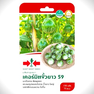 #ศรแดง💯#🥒ซื้อ 5 ซอง แถมปุ๋ยเกล็ดขนาด 3 กรัม 1 ซอง (3กรัมต่อน้ำ20ลิตร)(รวมชนิดได้)