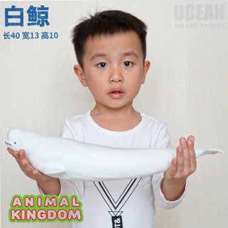 Animal Kingdom - โมเดลสัตว์ ปลาวาฬเบลูก้า ขนาด 41.00 CM แบบนิ่ม (จากสงขลา)