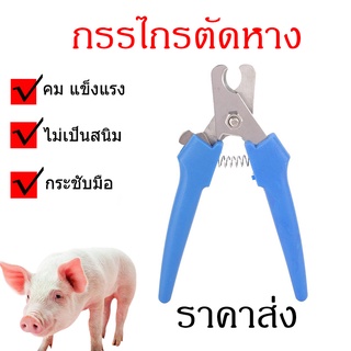 กรรไกรตัดหาง กรรไกรตัดหางหมู คีมตัดหางลูกสุกร คีมตัดหางลูกสุกร ตัดหางเครื่องตัด หางคีมตัดอุปกรณ์ปศุสัตว์ สีฟ้า