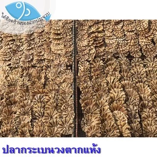 ไต๋ฮ๊อด ปลากระเบนวง 1แพ็ค 100กรัม ปลากระเบน กระเบนวง ปลากระเบนตากแห้ง อาหารทะเลแห้ง อาหารทะเลแปรรูป