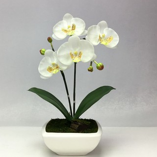 OrientalFineArt ดอกกล้วยไม้ phalaenopsis จัดในกระถางเซรามิค สำหรับประดับตกแต่ง