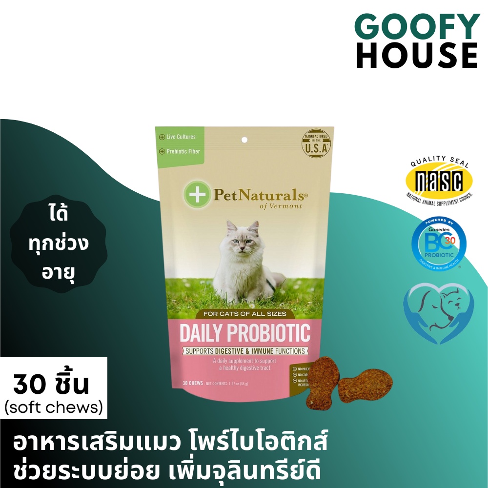 พร้อมส่ง โพรไบโอติกแมว ช่วยระบบย่อย เพิ่มจุลินทรีย์ดี Daily Probiotic