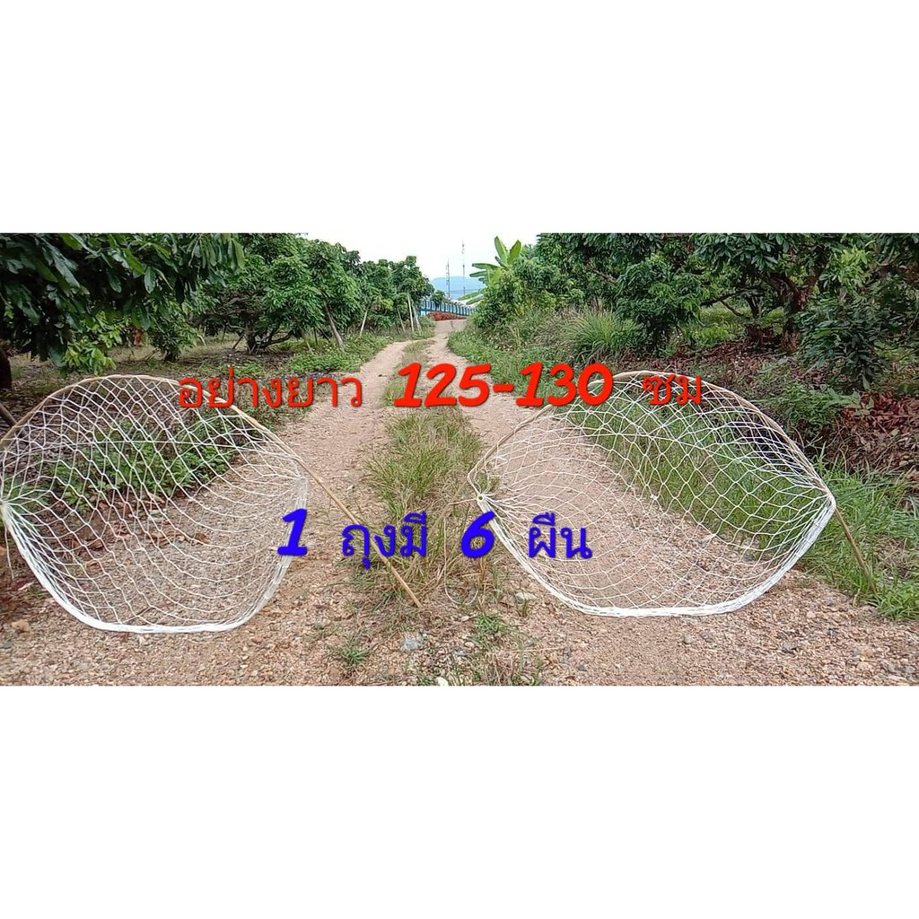 My Image 5