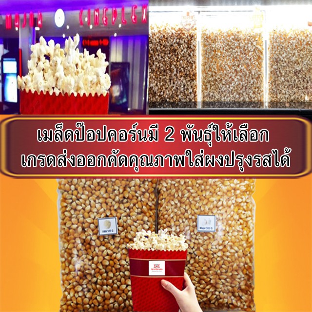 เมล็ดข้าวโพด เมล็ดป๊อปคอร์น มี 2 พันธุ์ ให้เลือก เมล็ดข้าวโพดป๊อปคอร์น ผงเขย่า popcorn