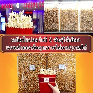 เมล็ดข้าวโพด เมล็ดป๊อปคอร์น มี 2 พันธุ์ ให้เลือก เมล็ดข้าวโพดป๊อปคอร์น ผงเขย่า popcorn
