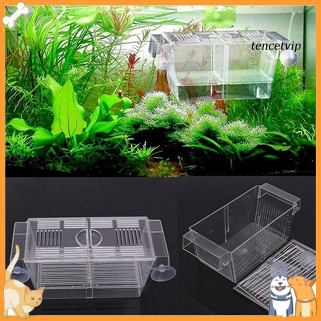 พิพิธภัณฑ์สัตว์น้ําVip Fish Tank Guppy Double Breeding Breeder Rearing Trap Box Hatchery