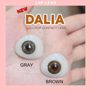 New Dalia gray &amp; brown ลายใหม่สีสวยละมุน🔮 (สายตาปกติ)