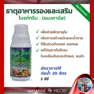 ปุ๋ย กิฟฟารีน ไบร์ทกรีนแมงกานีส เข้มข้น 6.2% Brigh green Giffarine ธาตุอาหารจำเป็น ที่พืชขาดไม่ได้ สวน ดิน ส่งฟรี