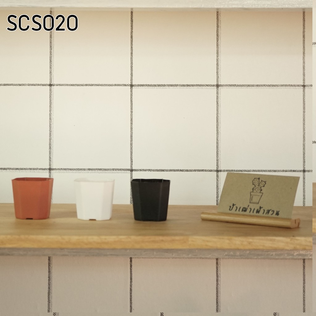 SCS020 กระถางสี่เหลี่ยมตัดมุม ขนาดปากกว้าง 5 x สูง x 5 ซม. กระถางแคคตัส กระถางกระบองเพชร