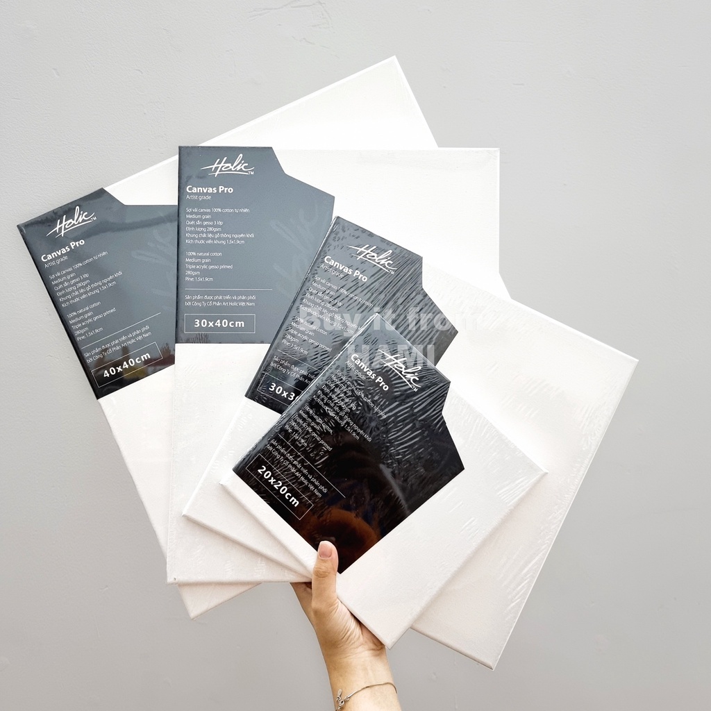 Toan Canvas Pro Holic Nabii