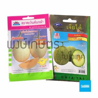 เมล็ดพันธุ์เมล่อน พันธุ์ปริ้นเซส เมล็ดพันธุ์แคนตาลูป พันธุ์ท๊อปซัน เมล็ดพันธุ์ผัก พงษ์เกษตรอุตรดิตถ์