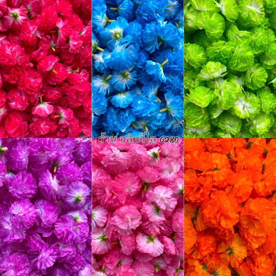 ดอกดาวเรืองสีทูโทน ดอกคาเนชั่น ขนาด 5ซม.ถุงละ 100 ดอก