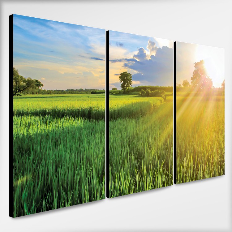 รูปภาพติดผนัง กรอบรูป ของตกแต่งบ้าน สไตล์ธรรมชาติ ทุ่งนา สีเขียว