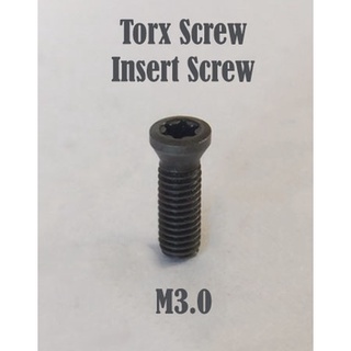 TorxScrew,InsertScrew,น็อตยึดมีดกลึง,น็อตยึดมีดกัด,น็อตยึดมีดมิลลิ่ง,น็อตสกรูดาวม,CarbideCNClathe,MillingCNC